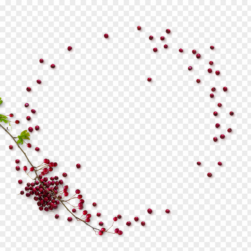 Red Fruit Autumn PNG