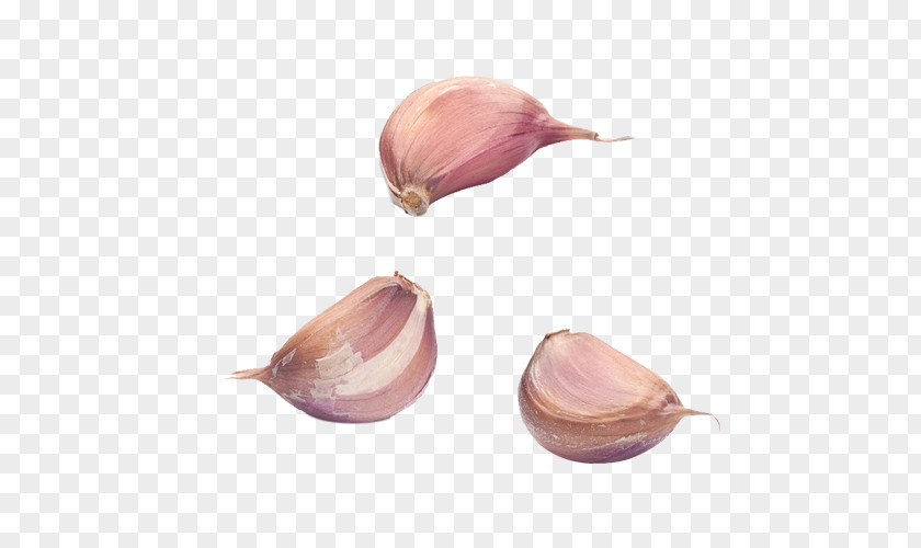 Three Garlic Bread Condiment PNG