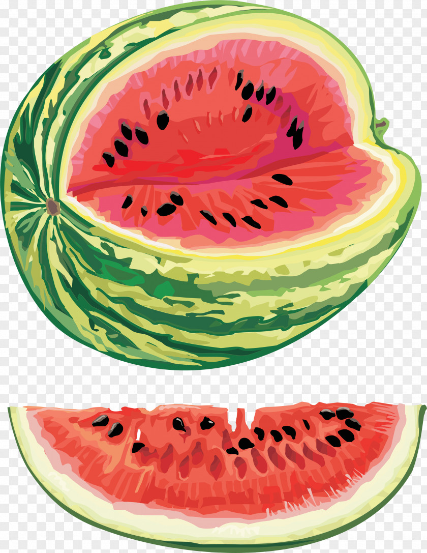 Watermelon Image Citrullus Lanatus Var. Seed Oil PNG