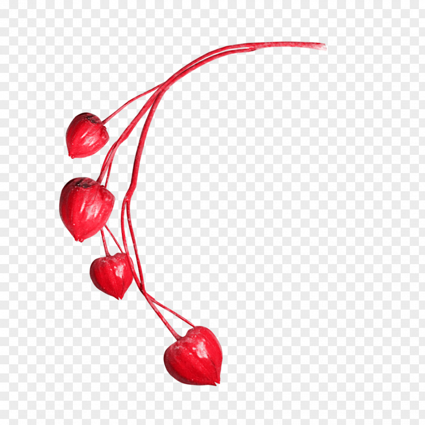 *2* Cherry Food Fruit PNG