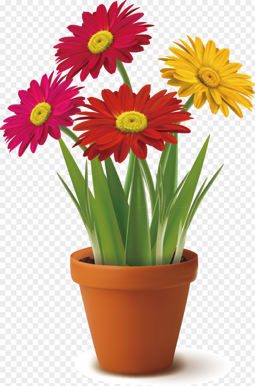 Chrysanthemum Color Flowerpot Clip Art PNG