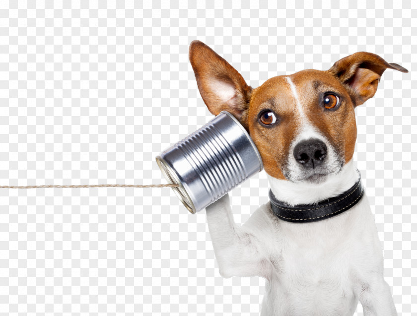Dog YouTube Conversation Communication Telephone Call Information PNG
