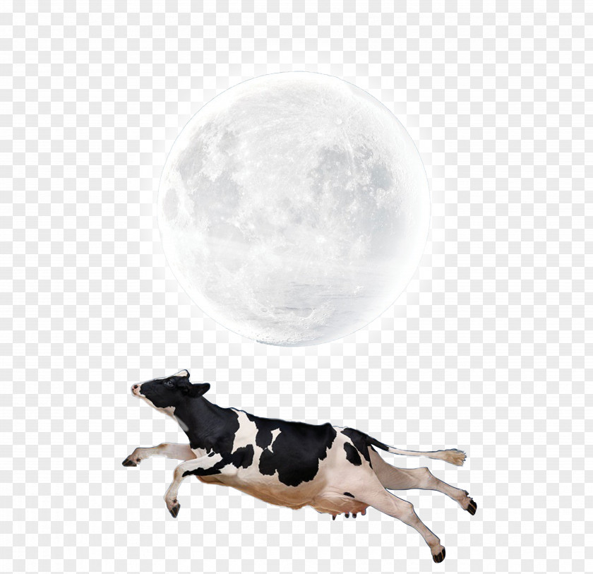 Flying Cow Moon Creative Lunar Phase Wallpaper PNG