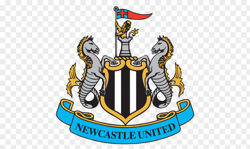 Football Newcastle United F.C. St James' Park East End 2012–13 Premier League FA Cup PNG