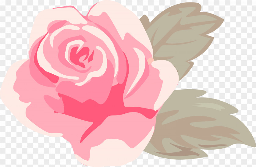 Garden Roses PNG