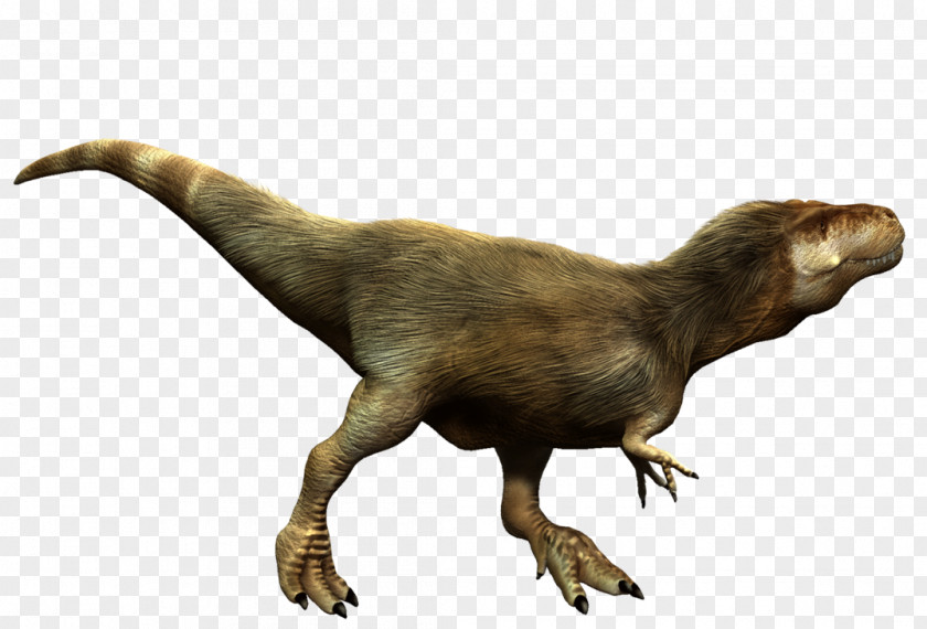 T Rex Tyrannosaurus Albertosaurus Tarbosaurus Megalosaurus Guanlong PNG