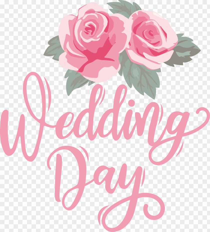 Wedding Day Wedding PNG