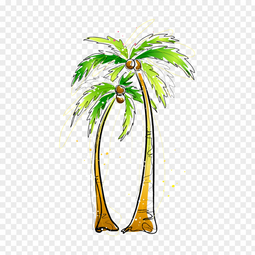 Coconut Tree Arecaceae Painting Illustration PNG
