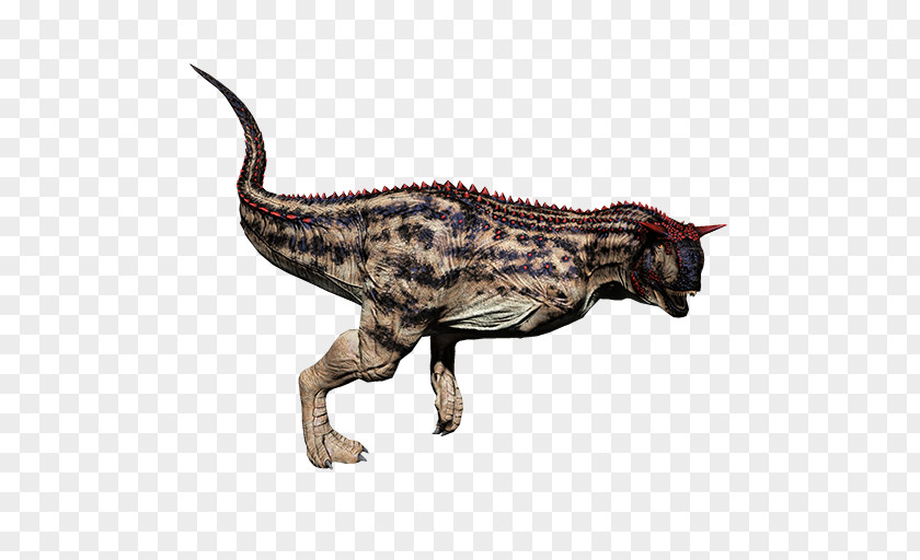 Dinosaur Carnotaurus Tyrannosaurus ARK: Survival Evolved Velociraptor Primal Carnage: Extinction PNG