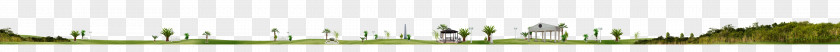 Grass Plan Green Energy Water Desktop Wallpaper Computer PNG
