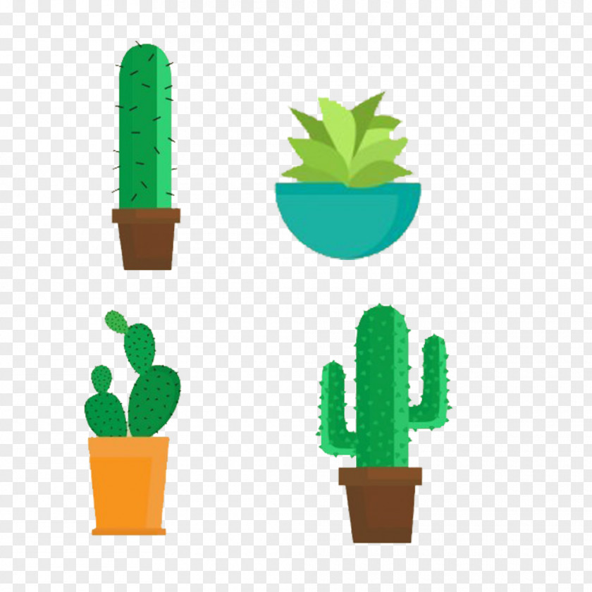 Green Cactus Plant Motifs Cactaceae Flowerpot Euclidean Vector PNG