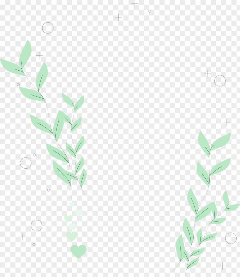 Twig Plant Stem Leaf Green Pattern PNG