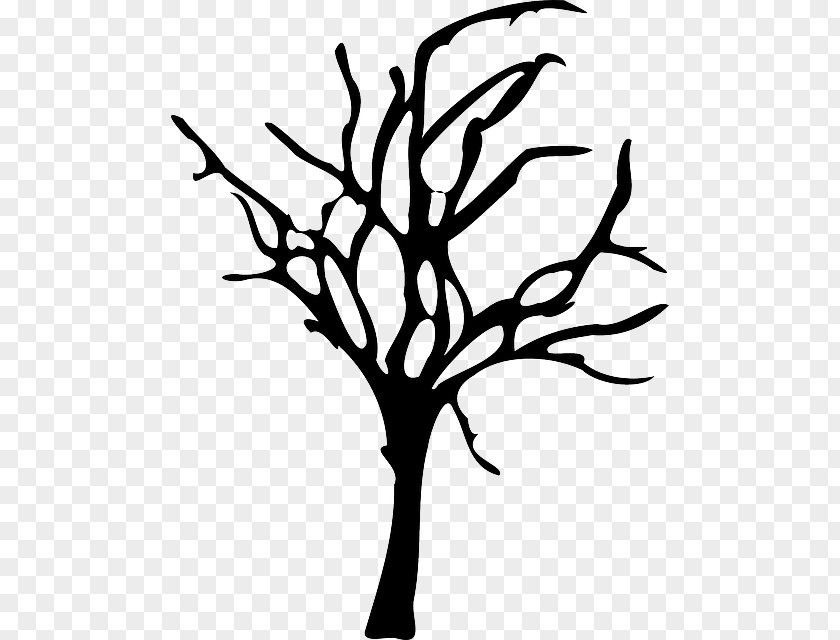 Winter Forest Tree Branch Clip Art PNG