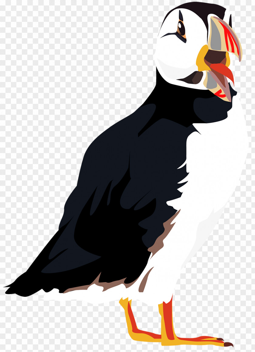 Bird Puffin Beak Clip Art Character PNG