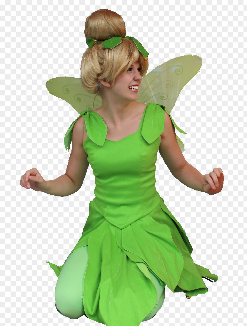 Fairy Costume Green PNG