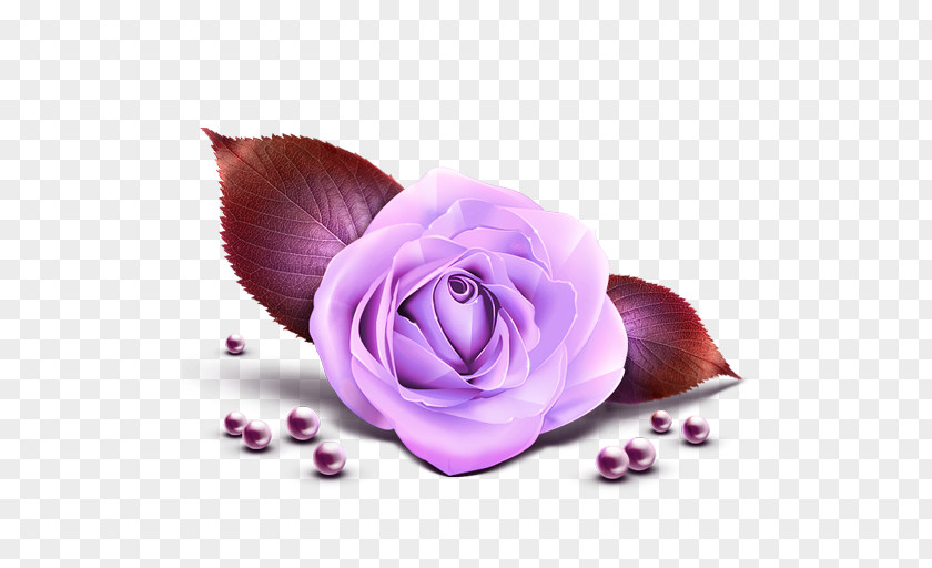 Pearl Rose Pink Clip Art PNG