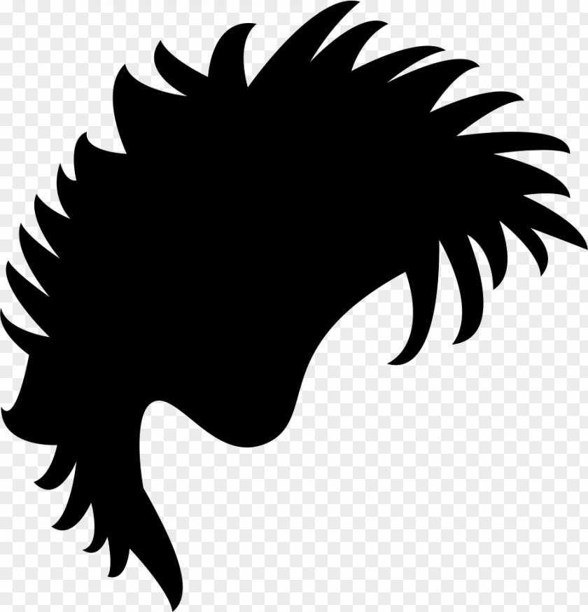 Hair Black PNG