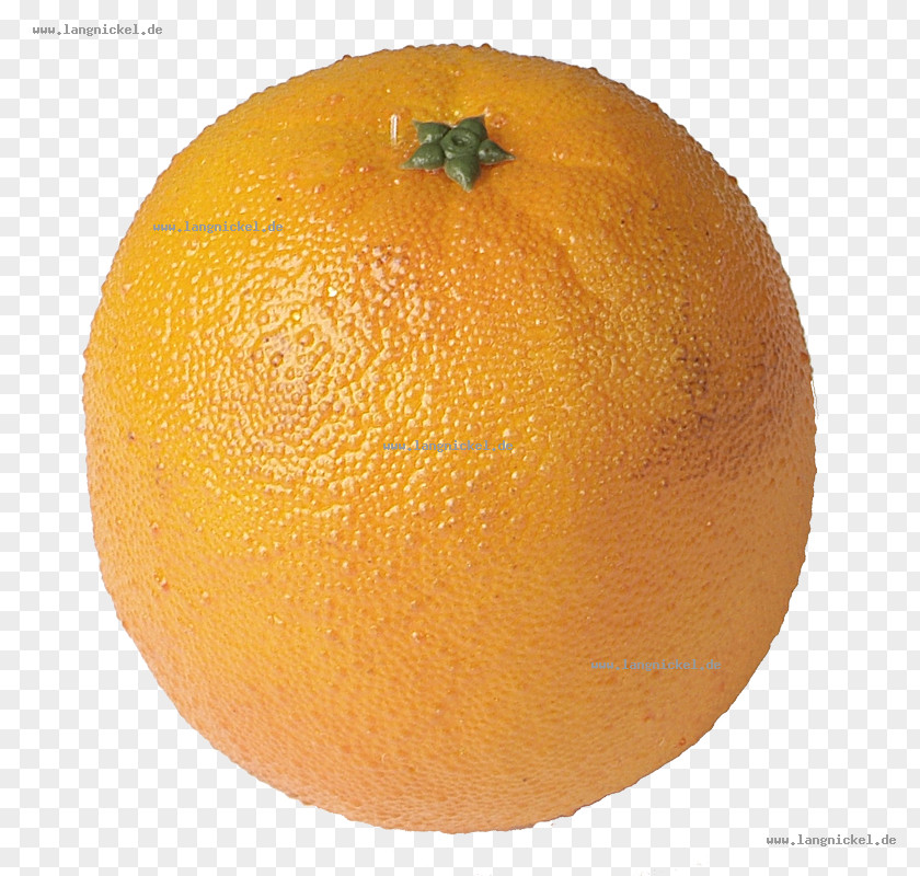 Orange Clementine Mandarin Tangerine Rangpur PNG