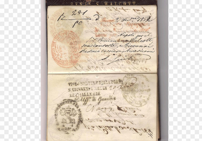 Passport United States Travel Document Identity PNG