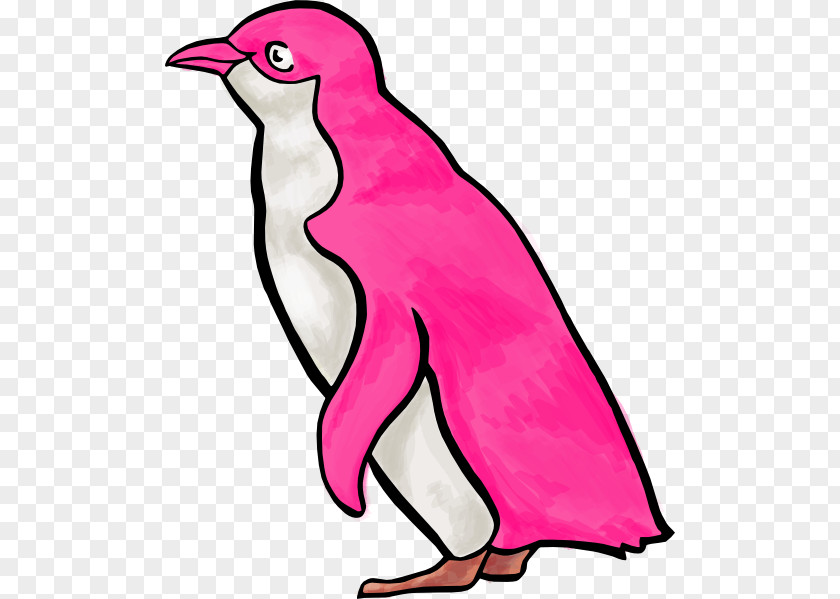Penguin Drawing Bird Clip Art PNG