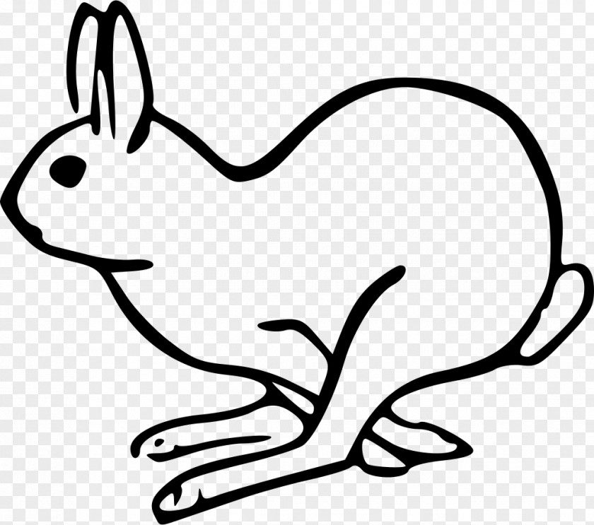 Snout Rabbits And Hares White Line Art Coloring Book Tail Cartoon PNG