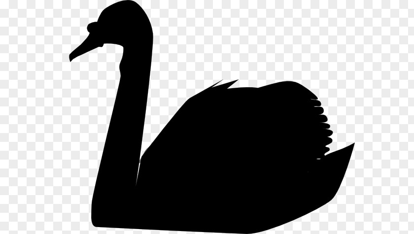 Swan Silhouette The Black Swan: Impact Of Highly Improbable Mute Bird Clip Art PNG