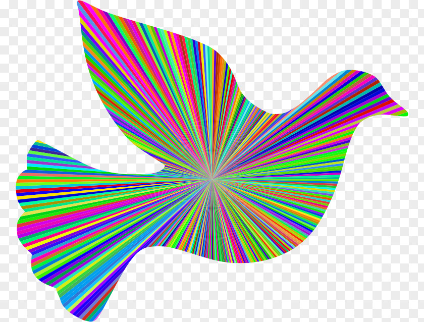 Symbol Peace Symbols Doves As Clip Art PNG