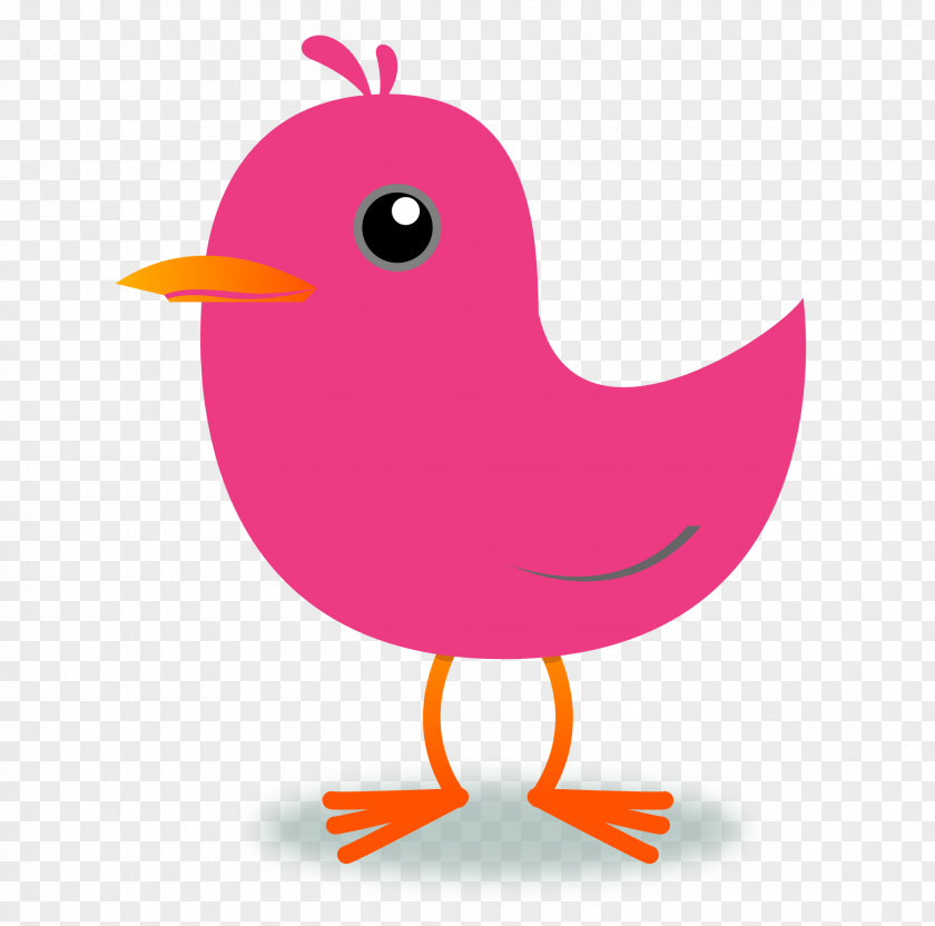 Tweet Cliparts Bird Northern Cardinal Clip Art PNG