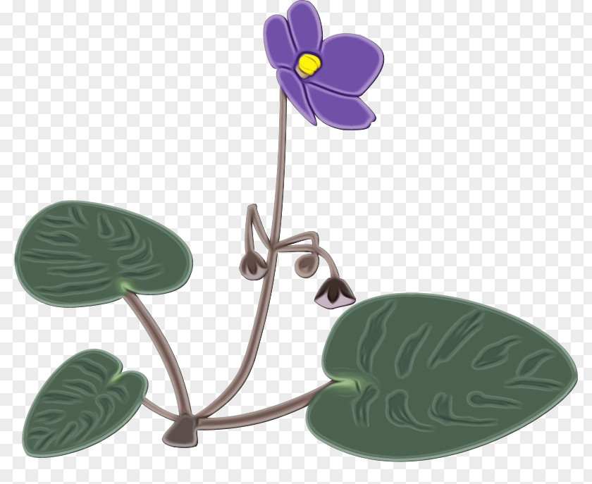 Anthurium Plant Leaf Flower Violet PNG