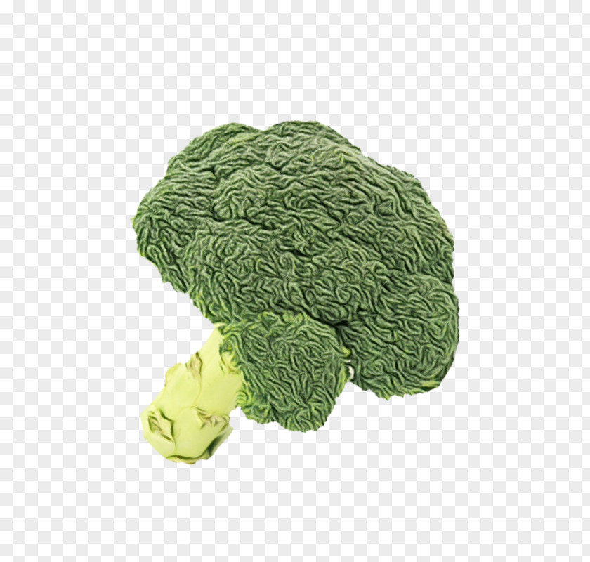 Cauliflower Wild Cabbage Vegetables Cartoon PNG