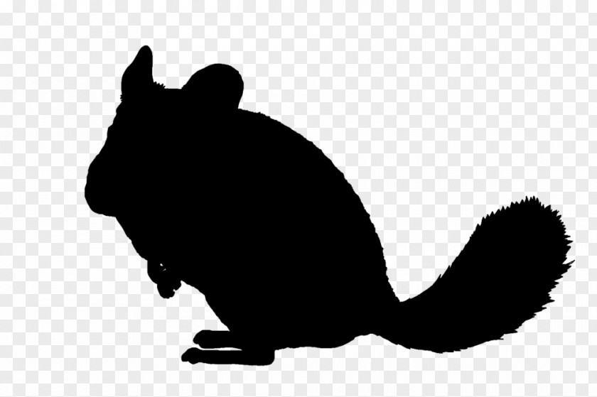 Silhouette Whiskers Chinchilla Black And White PNG