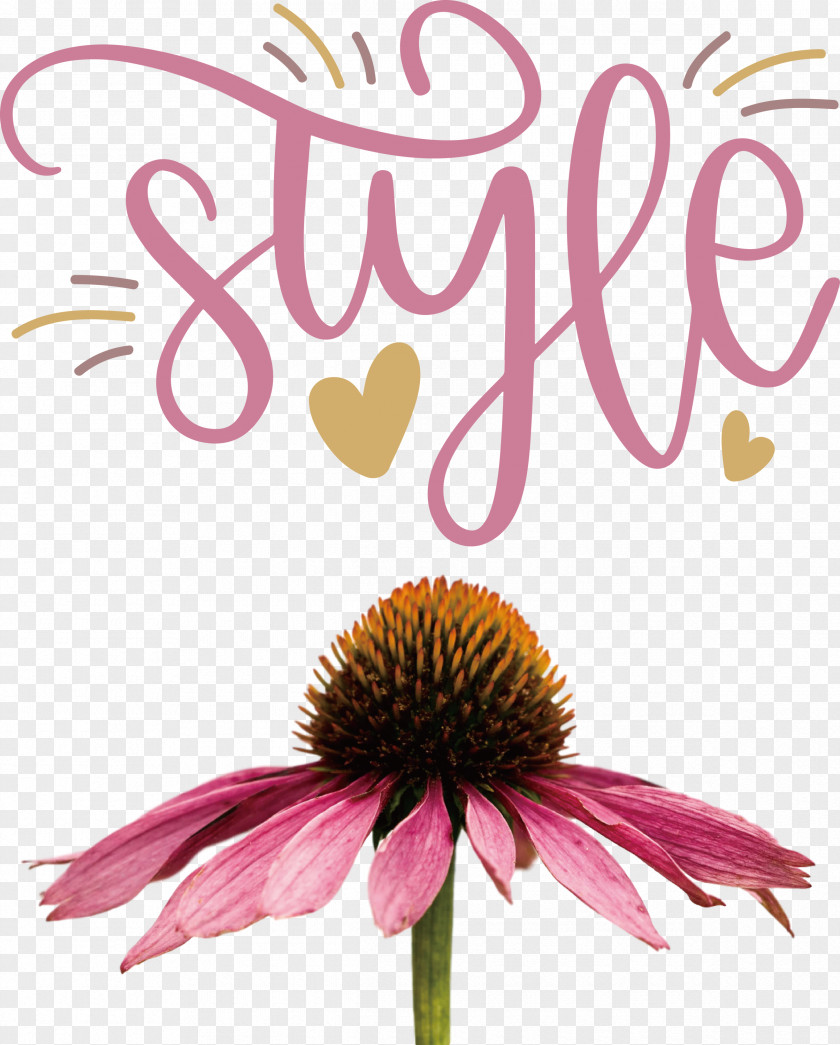 Style Fashion Stylish PNG