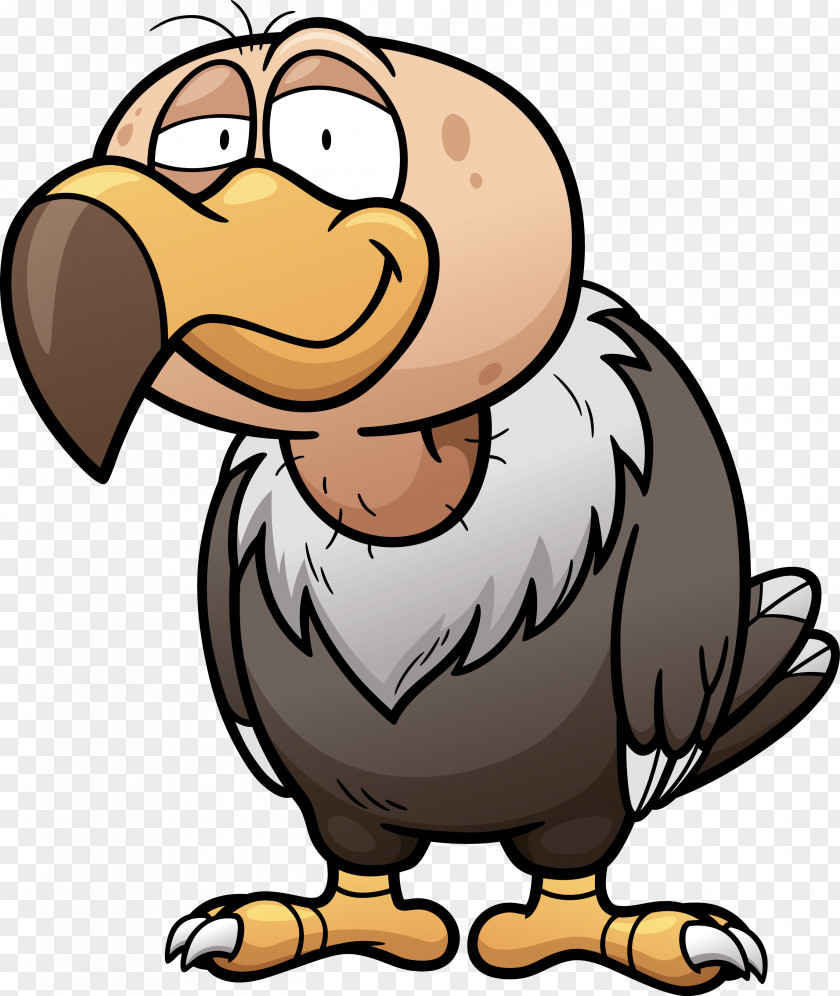 Vulture Royalty-free Clip Art PNG