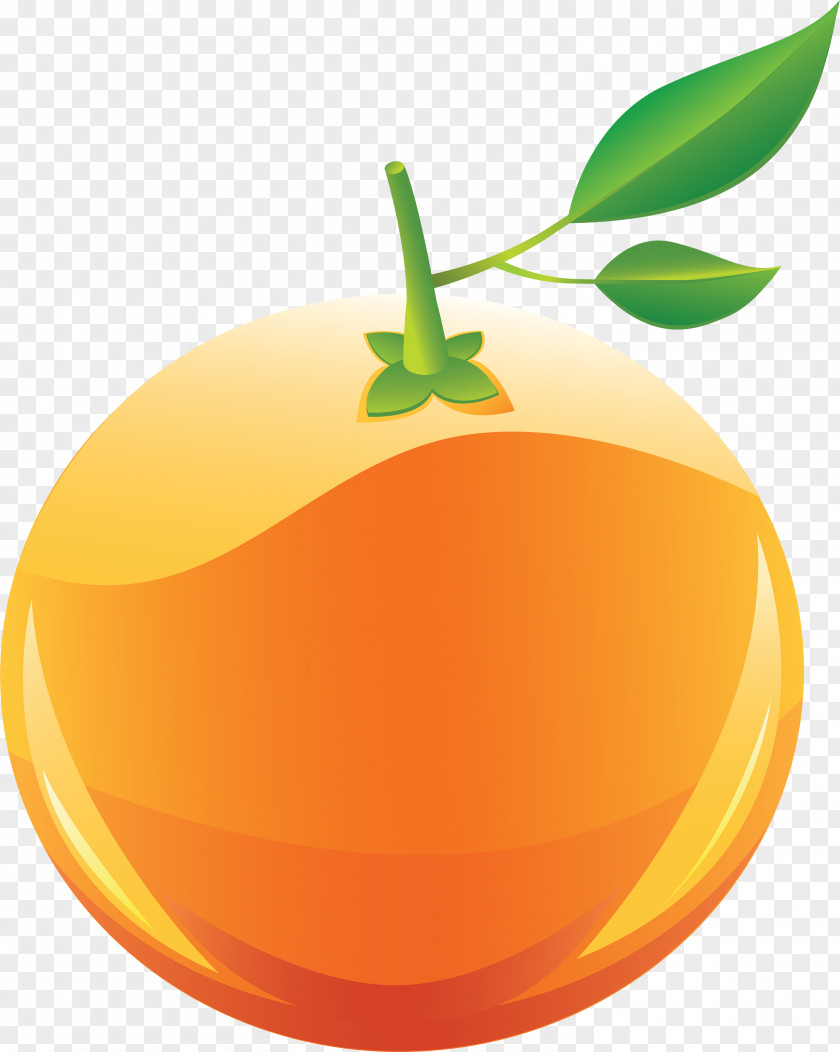 2 Clipart Orange Fruit Clip Art PNG