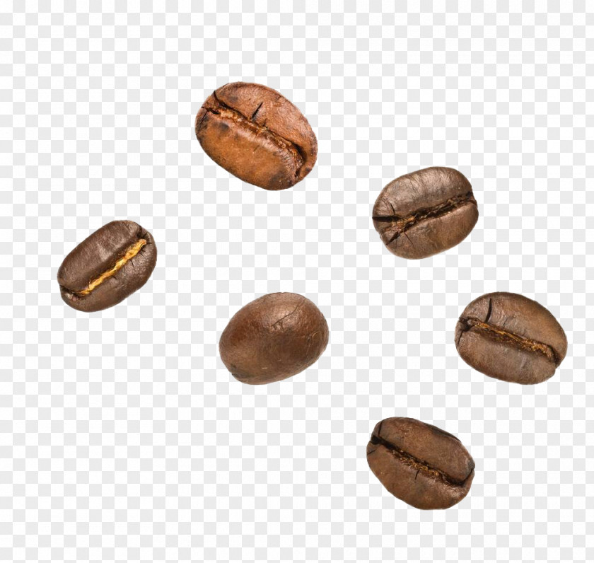 Coffee Beans Cocoa Bean Nut Theobroma Cacao PNG