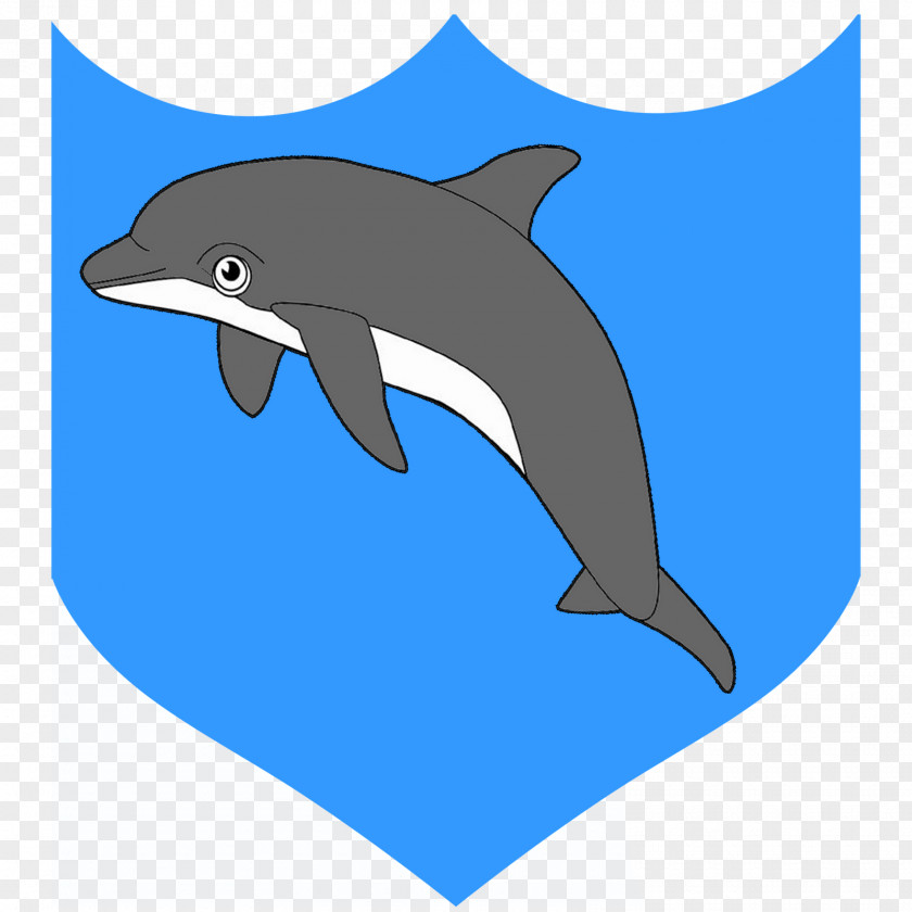 Dolphin Porpoise Rough-toothed Tucuxi Wholphin PNG
