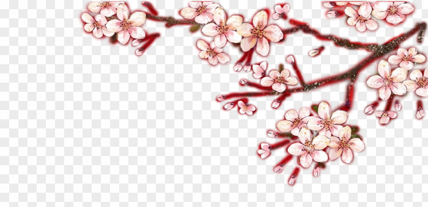 Plum Pretty Cherry Blossom Petal Fashion Accessory Jewellery PNG
