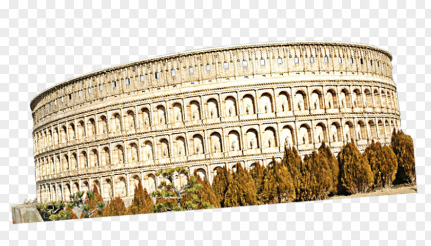 Roman Colosseum Euclidean Vector Ancient Rome PNG