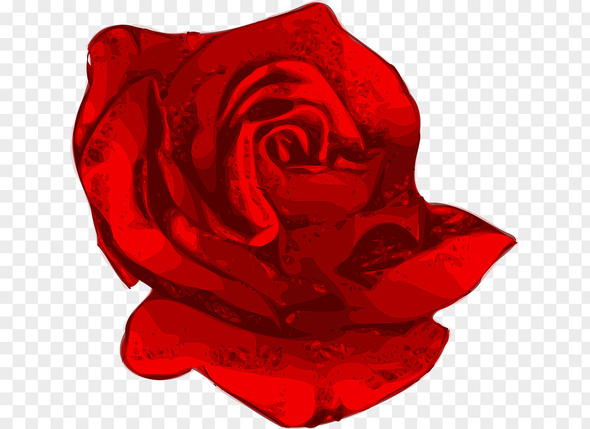 Rose Vector Graphics Flower Clip Art Image PNG
