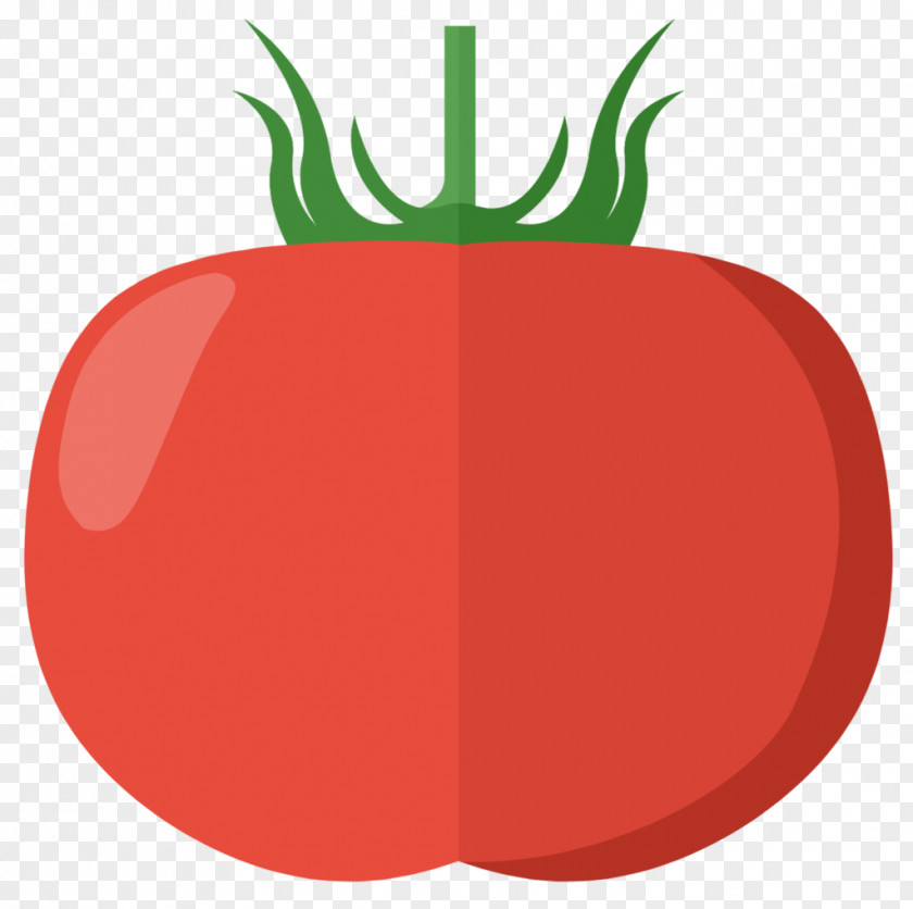 Tomates Applied Mechanics Torsion Strength Of Materials PNG