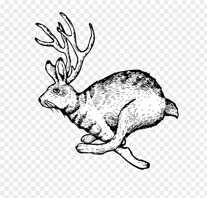 Family Domestic Rabbit Hare Reindeer Child PNG