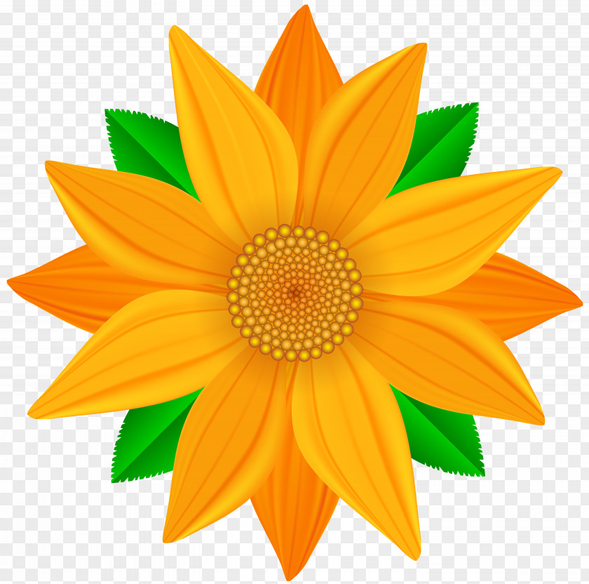 Flower Clip Art Image Openclipart PNG