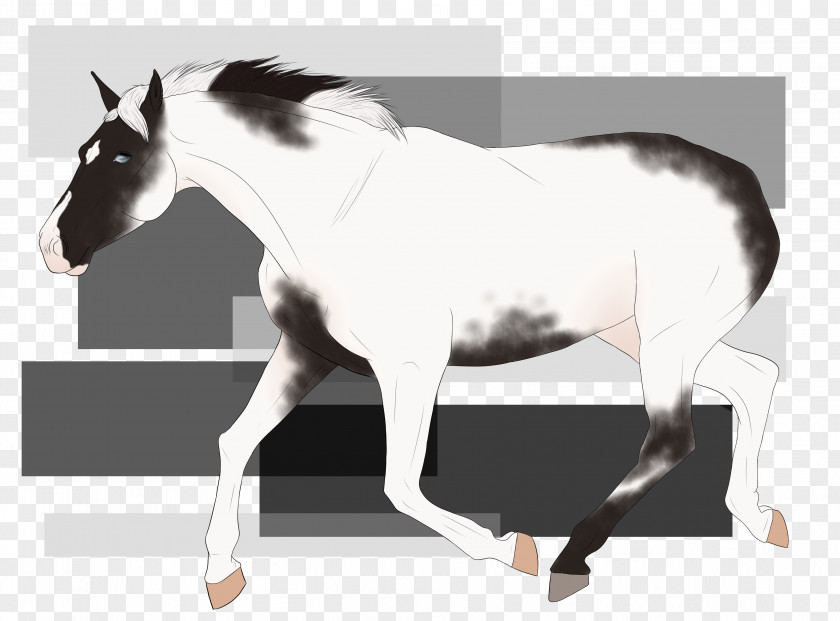 Mustang Mane Stallion Mare Pony PNG