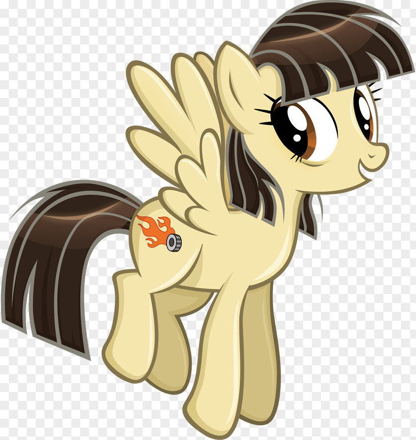 My Little Pony Pony: Friendship Is Magic Season 3 Rainbow Dash Fluttershy PNG