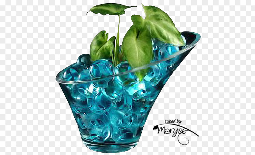 Water Beads Glass Still Life. Pipes Soil Plants PNG