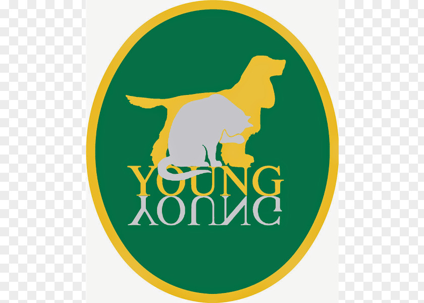Dog Young Veterinary Partnership Brentford Veterinarian Hounslow Pet PNG