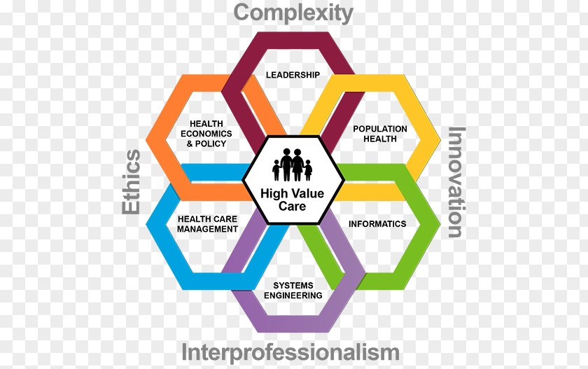 Health Care Economics The Challenge Of Complexity System PNG