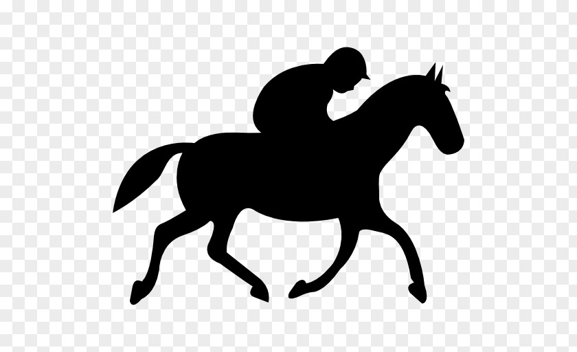 Horse Equestrian Jockey Jumping PNG