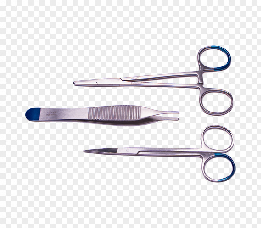 Scissors Surgical Suture Forceps Needle Holder Whelping Box PNG