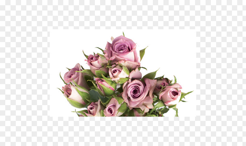 Flower Garden Roses Cabbage Rose Floral Design Cut Flowers Bouquet PNG